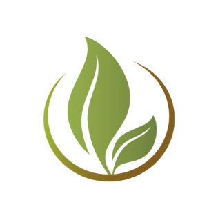 gallery/untitled design (5)